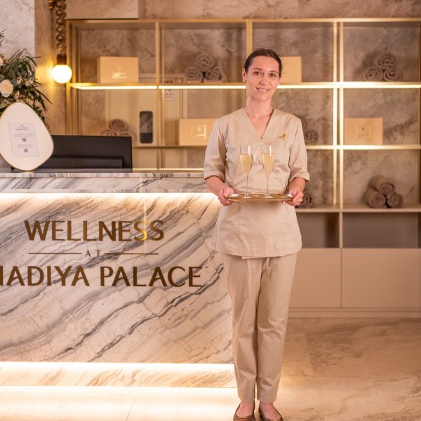 Ексклюзивний вечір у WELLNESS-просторі для компанії 4-6 осіб